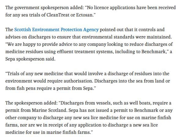 Ferret 17 March 2020 #11