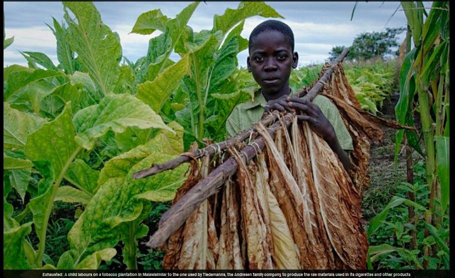 Johan Andresen Daily Mai #3