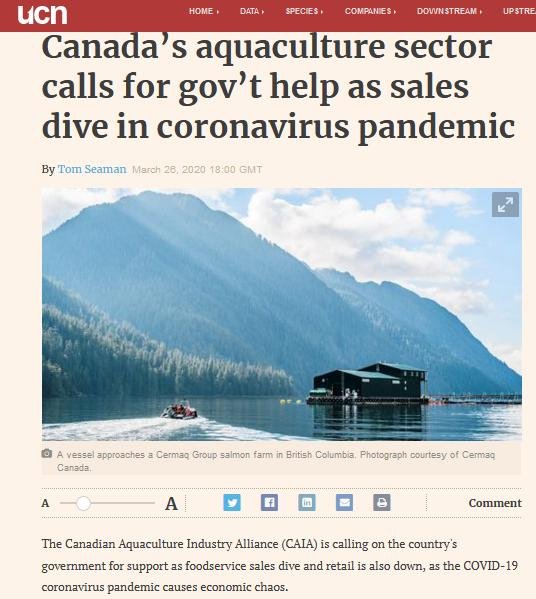 COVID position statement March 2020 CAIA