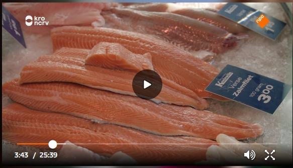 Dutch TV March 2020 #8 farmed salmon in fishmonger