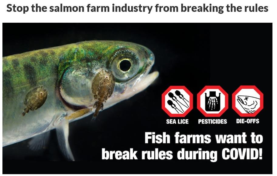 COVID petition canada