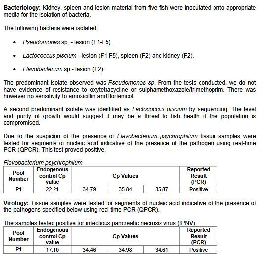 Jan 2020 FHI #11 Ormsary 2nd visit #1