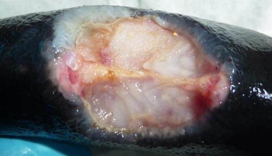 Jan 2020 FHI #1 Ormsary 2nd visit photo #6 Jan 2020 FHI #1 Ormsary 2nd visit photo #6