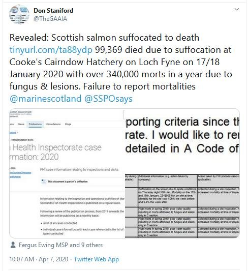 Jan 2020 FHI Tweet #3 Cooke suffocation