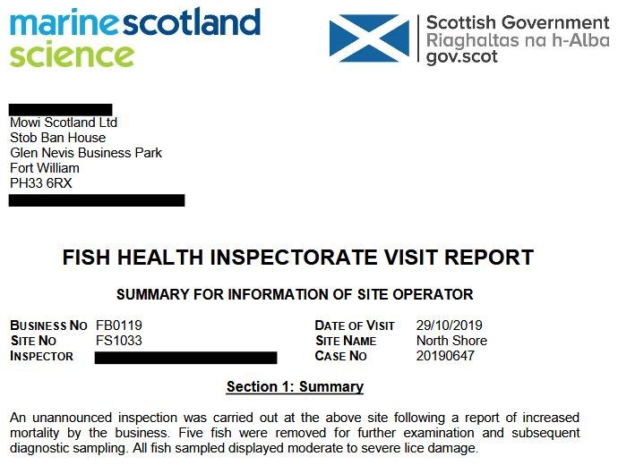 North Shore Oct 2019 #11 North Shore Oct 2019 #11