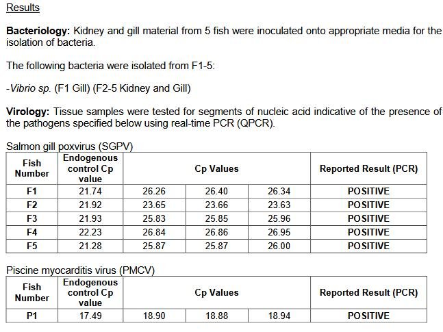 North Shore Oct 2019 #14 North Shore Oct 2019 #14