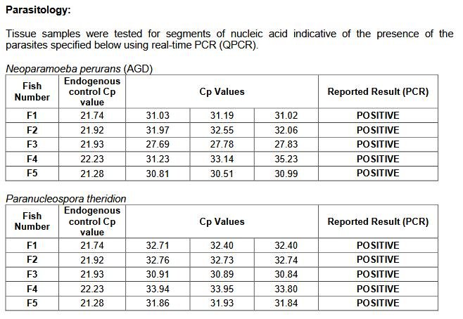 North Shore Oct 2019 #15 North Shore Oct 2019 #15