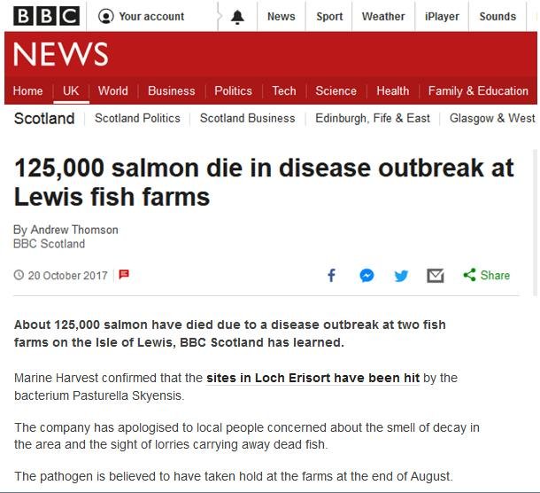 North Shore BBC Oct 2017 North Shore BBC Oct 2017