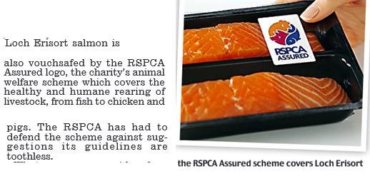 North Shore RSPCA via Daily Mail Jan 2018 #2 North Shore RSPCA via Daily Mail Jan 2018 #2