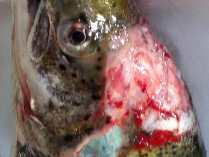 North Shore Oct 2019 Photo #12 North Shore Oct 2019 Photo #12