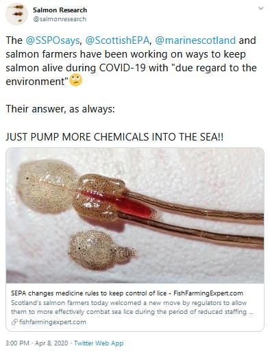 Covid chemicals Tweet Salmon Research 8 April 2020