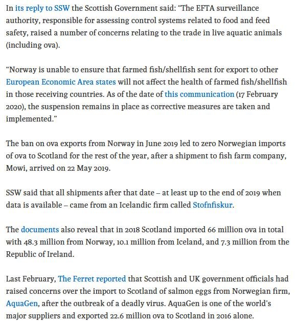 Ferret 24 Feb 2020 #4