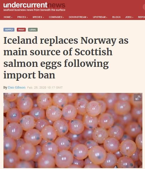 Undercurrent News 25 Feb 2020 #1