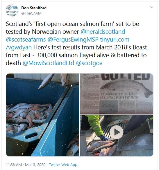 Tweet offshore 3 March 2020 #2