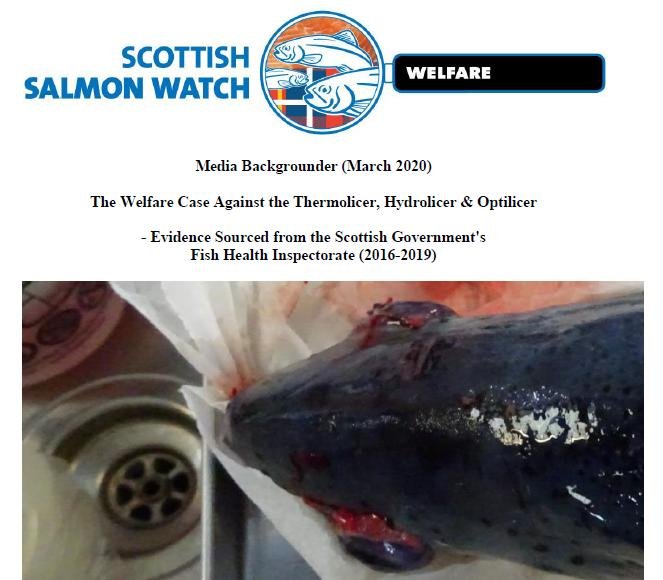 Media Backgrounder Case Vs Thermolicer March 2020 #1