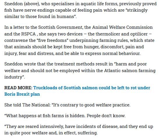 National 9 March 2020 #4