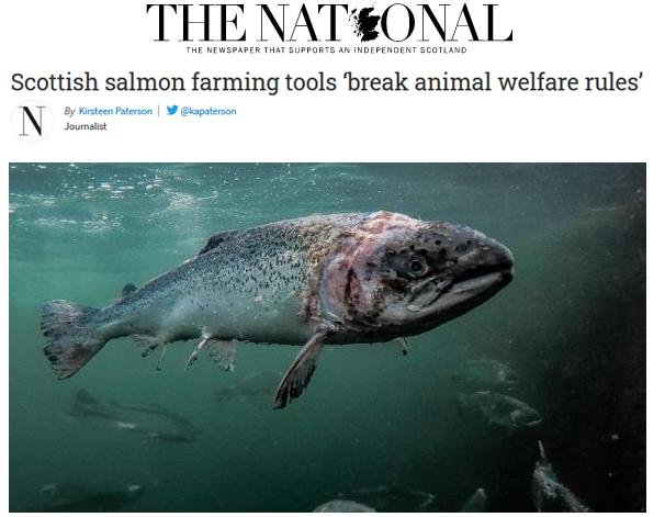 National 9 March 2020 Corin Photo with headline National 9 March 2020 Corin Photo with headline