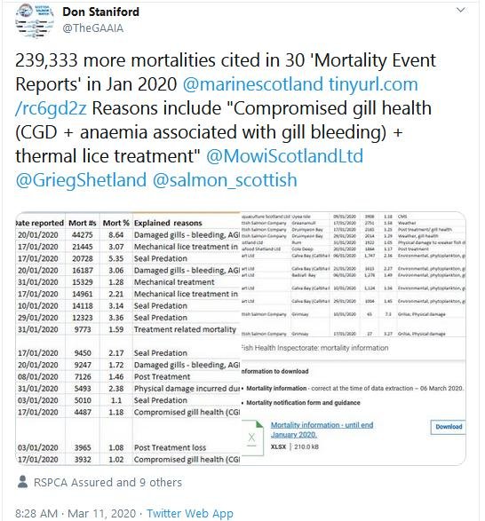 2020 Jan morts via FHI Tweet