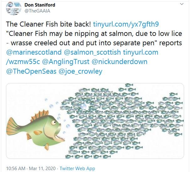 2020 Jan morts via FHI #5 Grimsay CF nipping at salmon Tweet