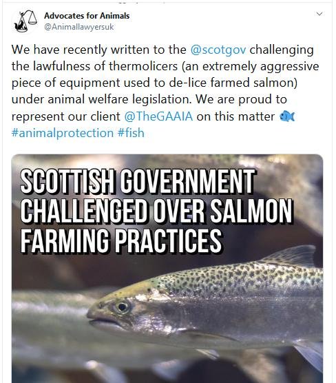 Advocates for Animals Tweet 11 March 2020 #1