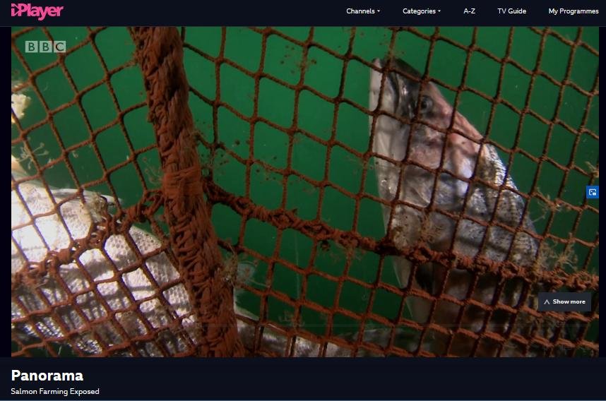 2019 Morts #8 Panorama