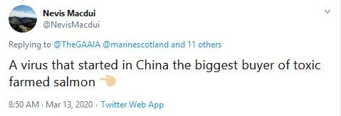 Greed Hamish Macdonel tweet 13 March 2020 Tweet China