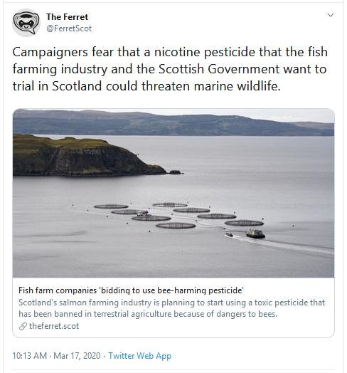 Ferret 17 March 2020 Tweet 10