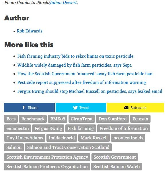 Ferret 17 March 2020 #12