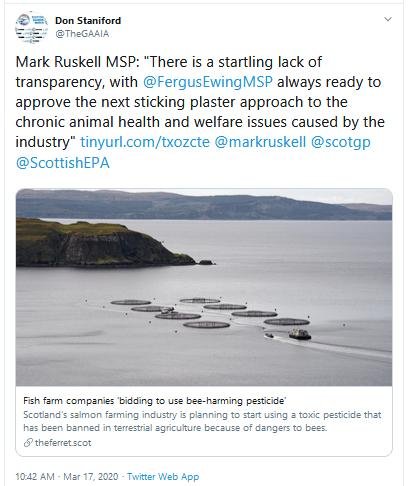 Ferret 17 March 2020 Tweet #2 Mark Ruskell