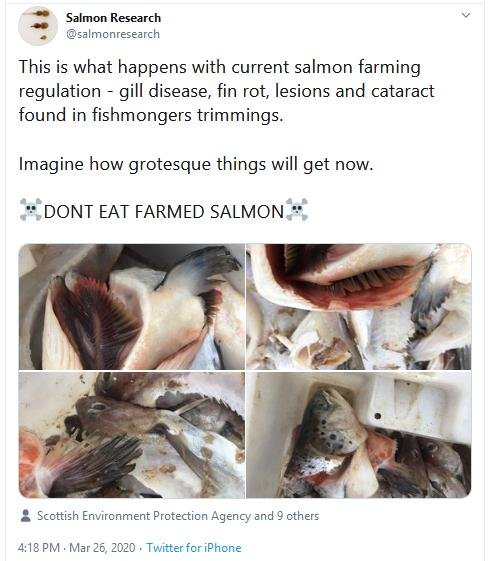 COVID position statement March 2020 Tweet with photos