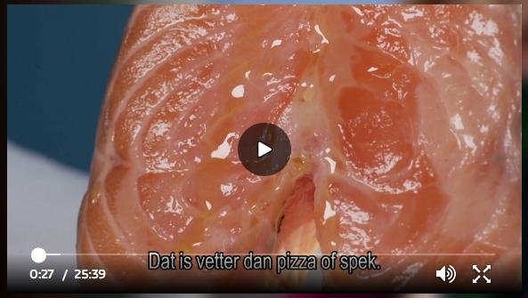 Dutch TV March 2020 #3 fattier than bacon