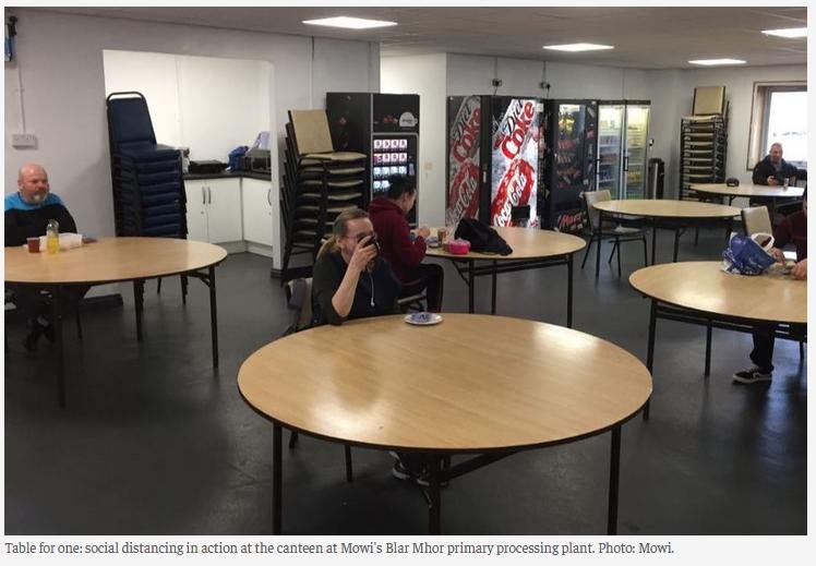 COVID Mowi processing #3