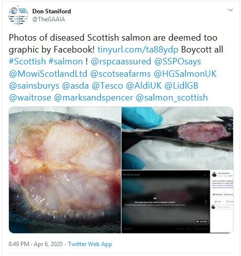 Jan 2020 FHI Tweet #2 6 April Facebook graphic