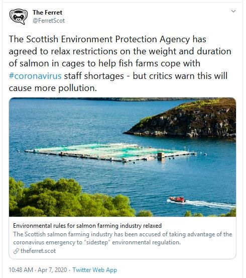 Covid Ferret 7 April Tweet