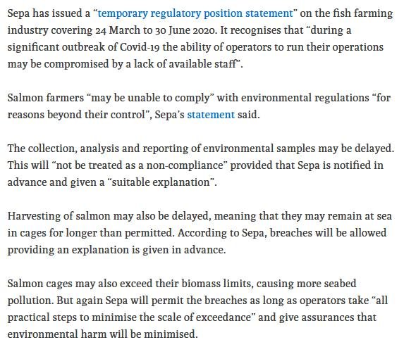 Covid Ferret 7 April 2020 #3