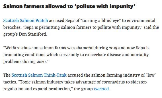 Covid Ferret 7 April 2020 #4