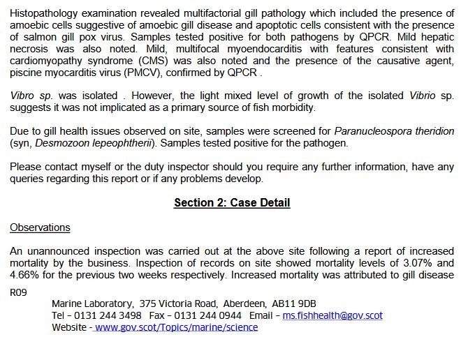 North Shore Oct 2019 #12 North Shore Oct 2019 #12