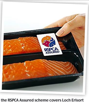 North Shore RSPCA via Daily Mail Jan 2018 North Shore RSPCA via Daily Mail Jan 2018