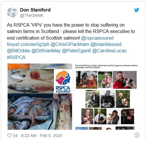 North Shore RSPCA Tweet North Shore RSPCA Tweet