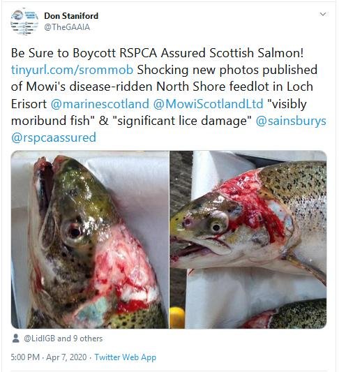 North Shore Tweet 7 April 2020 North Shore Tweet 7 April 2020