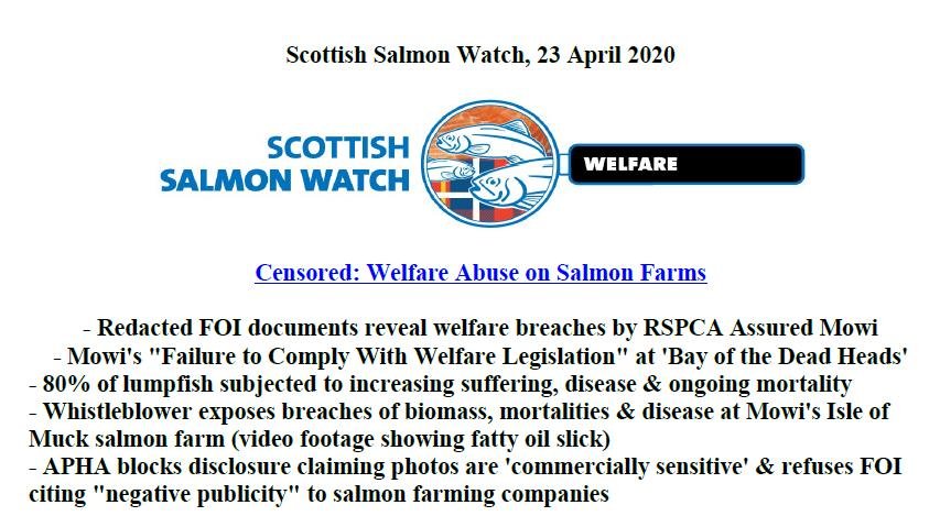 PR Censored Welfare Abuse on Salmon Farms 23 April 2020 #1