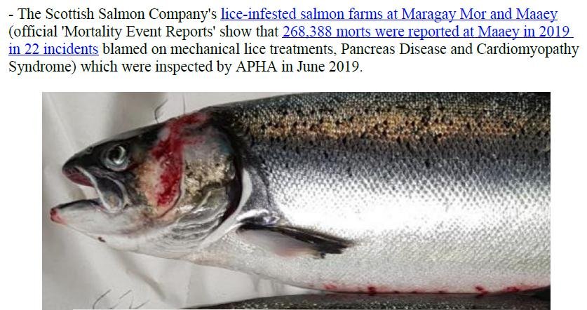 PR Censored Welfare Abuse on Salmon Farms 23 April 2020 #6