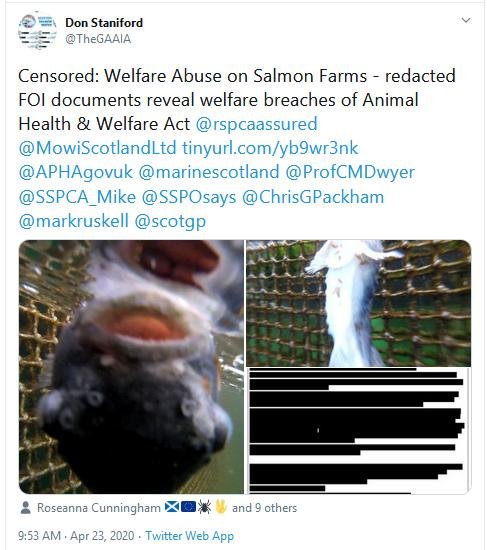 PR Censored Welfare Abuse on Salmon Farms 23 April 2020 Tweet #1
