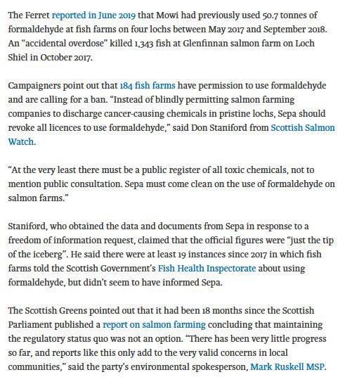 Ferret 24 May 2020 #5