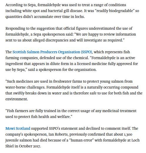 Ferret 24 May 2020 #9