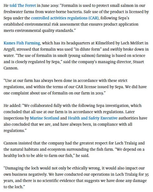 Ferret 24 May 2020 #10