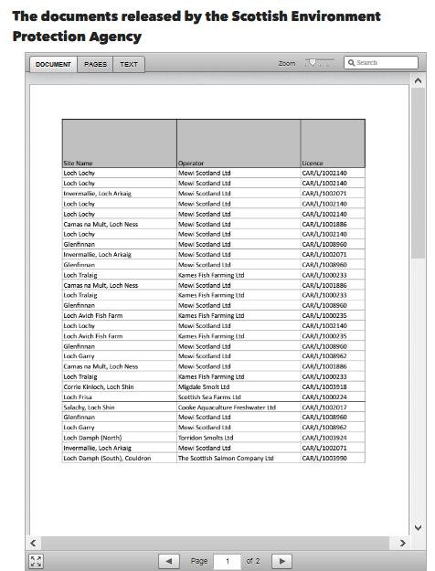 Ferret 24 May 2020 #11