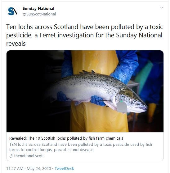 Sunday National Tweet #2