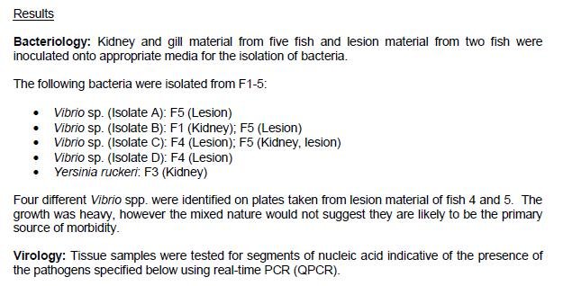 FHI Greshornish March 2020 letter #4