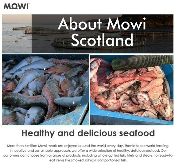 About Mowi Scotland #1 About Mowi Scotland #1